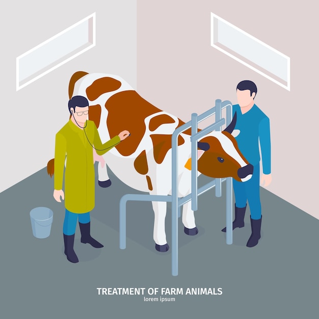 Vetor grátis composição veterinária isométrica com tratamento de texto editável de animais de fazenda com médico usando estetoscópio e ilustração de vaca