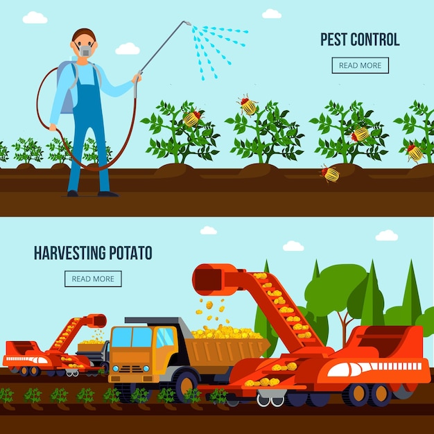 Composições planas de cultivo de batata com controle de pragas e veículos agrícolas durante a colheita isolada