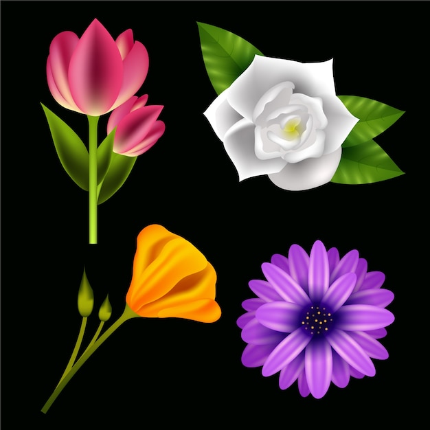 Vetor grátis conceito de coleção de flores de primavera realista