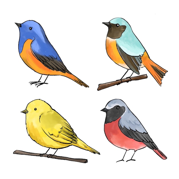 Vetor grátis conceito de coleção de pássaros em aquarela
