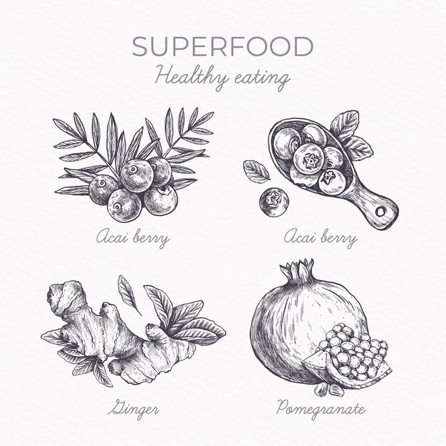 Conceito de coleção de superalimentos