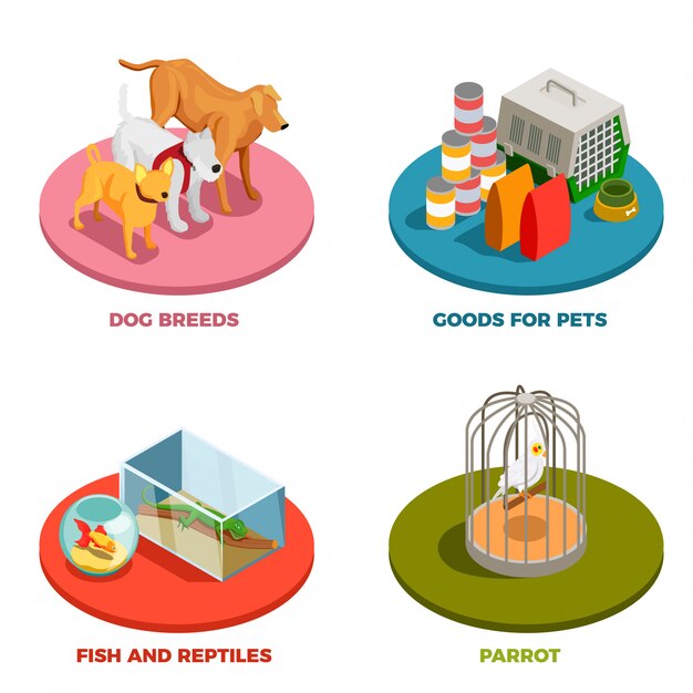 Conceito de Design de Pet Shop 2x2