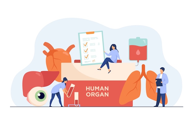 Vetor grátis conceito de doação de órgãos. recipiente com texto de órgão humano, pulmão humano, globo ocular, fígado, coração e sangue.