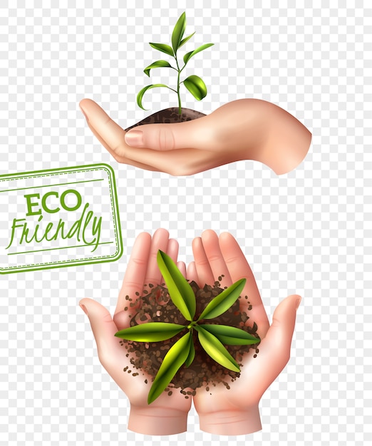 Conceito de ecologia ecológica