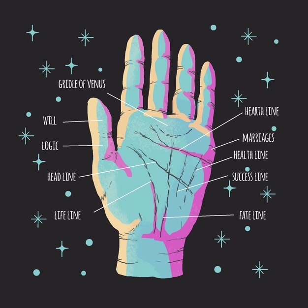 Conceito de informação Palmestry