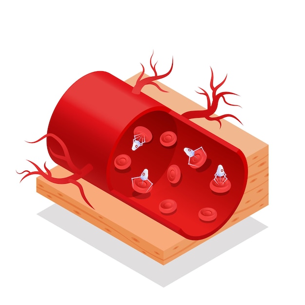 Conceito de nanomedicina de nanotecnologia futurista isométrica com robôs de sangue na ilustração em vetor 3d de artéria