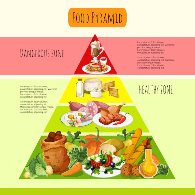 Conceito de pirâmide alimentar