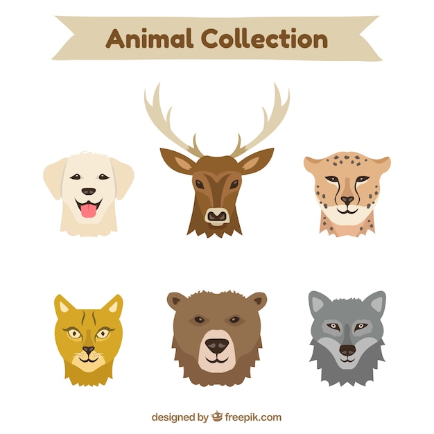 Conjunto clássico de rostos de animais
