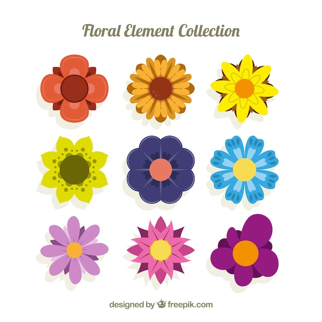 Conjunto colorido de elementos florais com design plano