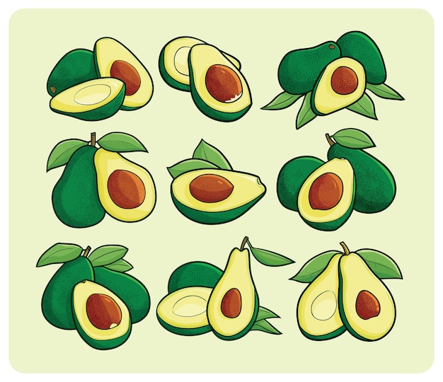 Conjunto de abacate em estilo simples de desenho animado