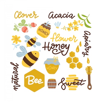 Conjunto de abelha, elementos de mel, favo de mel, jar, modelo e outras letras de apicultura. plana mão ilustrações desenhadas.