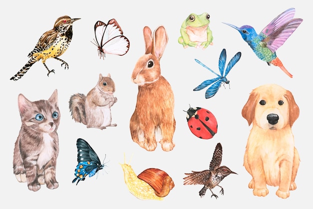 Conjunto de adesivos fofos em aquarela de animais e insetos