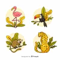 Vetor grátis conjunto de animais da selva: flamingo, tucano, macaco, leopardo