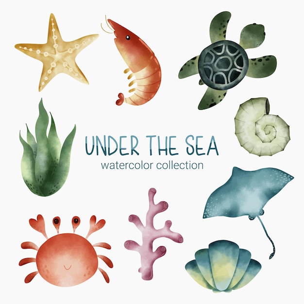 Vetor grátis conjunto de animais fofos em aquarela e plantas vida marinha sob ilustração vetorial do mar
