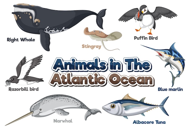 Vetor grátis conjunto de animais no oceano atlântico