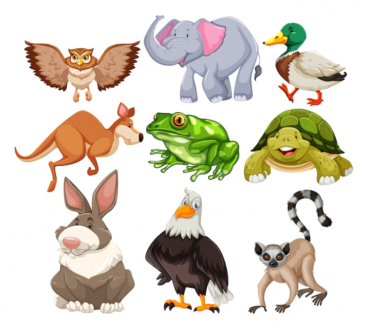 Vetor grátis conjunto de animais selvagens