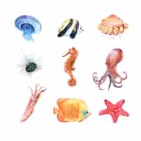 Vetor grátis conjunto de animal do mar aquarela isolado