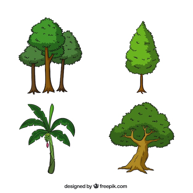 Conjunto de árvores em estilo desenhado à mão