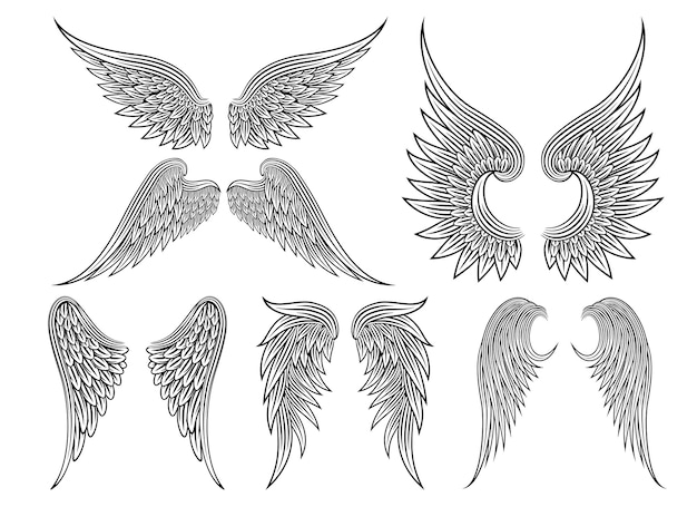 Conjunto de asas heráldicas ou asas de anjo desenhadas em linhas pretas. Ilustração vetorial