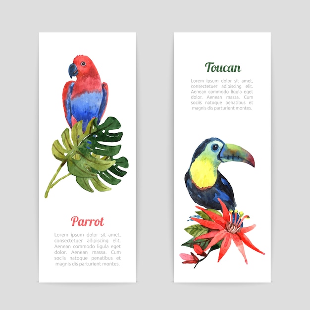 Conjunto de bandeiras aquarela pássaros tropicais