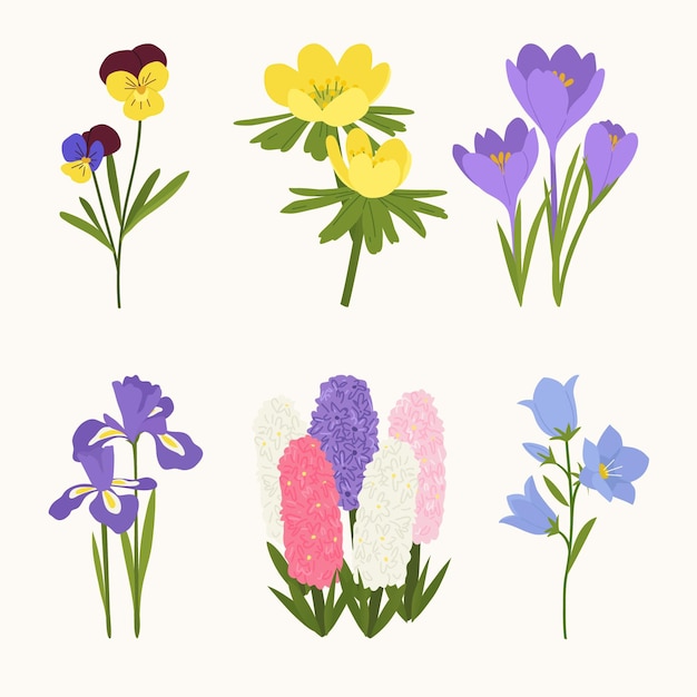 Conjunto de belas flores de primavera desenhada à mão