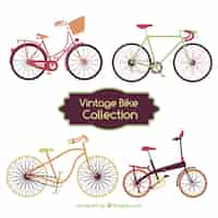 Vetor grátis conjunto de bicicletas agradáveis ​​em estilo vintage