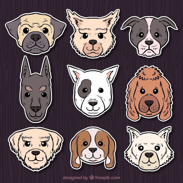 Conjunto de cão adesivos desenhados à mão