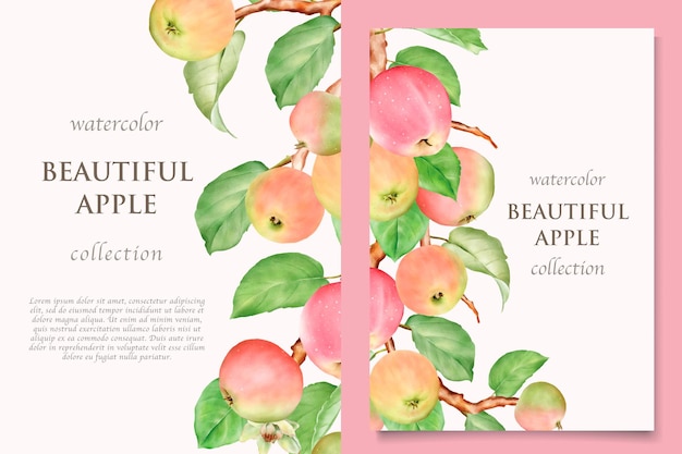 Conjunto de cartão de maçã desenhado à mão em aquarela