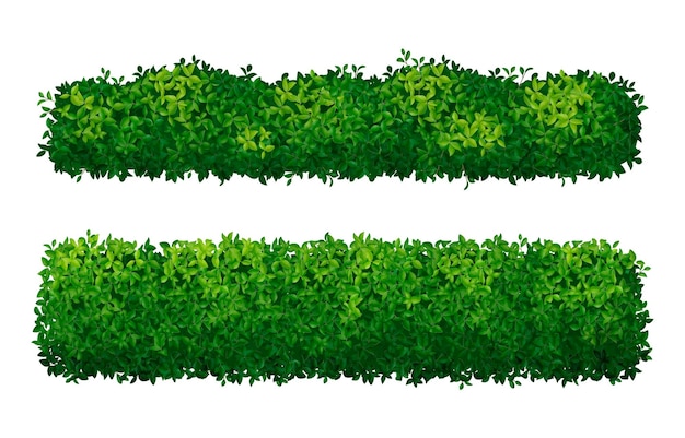 Green Cacto Saúde Plant PNG , Realista, Mão, Realista Imagem PNG e PSD Para  Download Gratuito