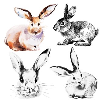 Conjunto de coelhos da páscoa. esboço desenhado à mão e ilustrações em aquarela