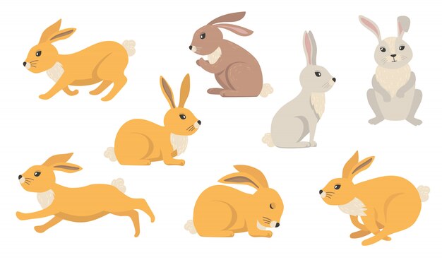Conjunto de coelhos de desenho animado