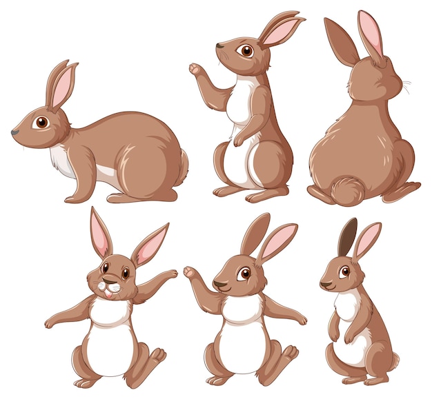 Conjunto de coelhos marrons em poses diferentes