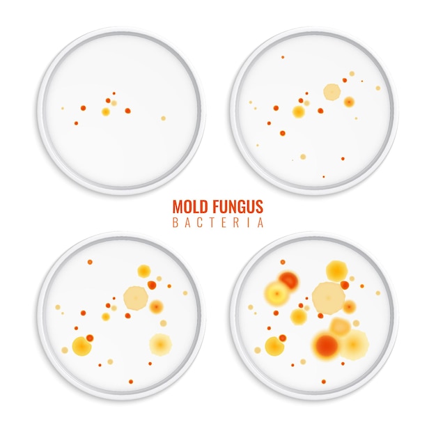 Vetor grátis conjunto de colônias de bactérias e fungos de molde de quatro s realistas com quadros redondos, pontos coloridos e ilustração de texto
