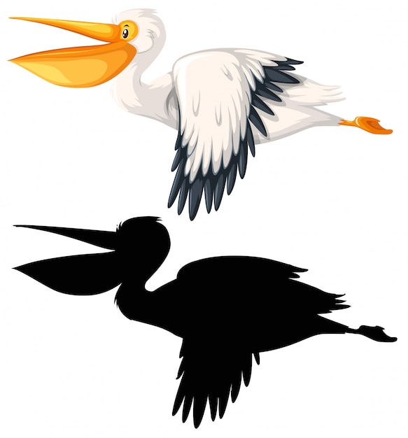 Vetor grátis conjunto de conceito de pelicano