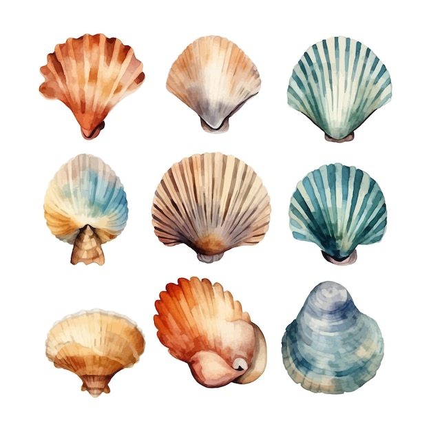 Vetor grátis conjunto de conchas aquarela em ilustração isolada do mar clipart