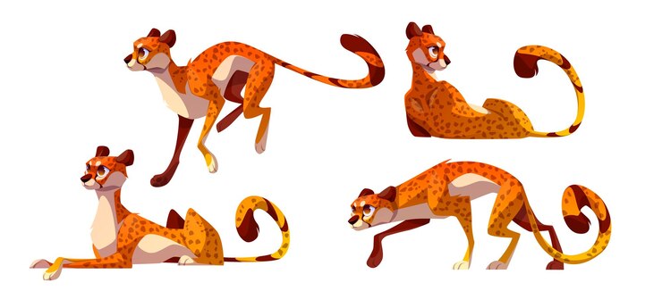 Vetor grátis conjunto de desenho animado de personagem de chita em diferentes poses isoladas no fundo branco ilustração em vetor de gato selvagem africano correndo rápido pulando deitado andando e caçando animais exóticos do zoológico