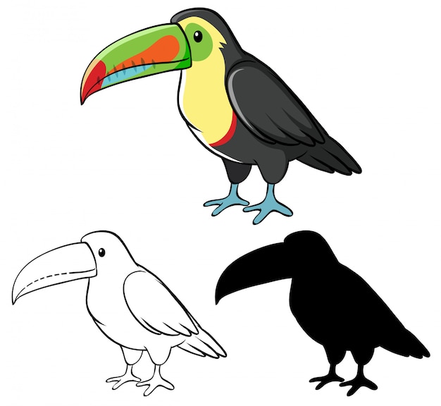 Vetor grátis conjunto de desenhos animados de tucano