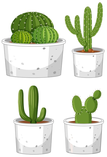 Succulent plant Cactus graphics Ilustração, cacto, planta suculenta, cacto  png