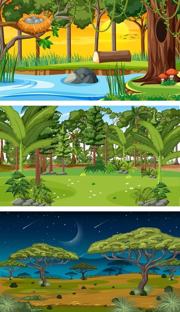 Conjunto de diferentes cenas horizontais de floresta em tempos diferentes