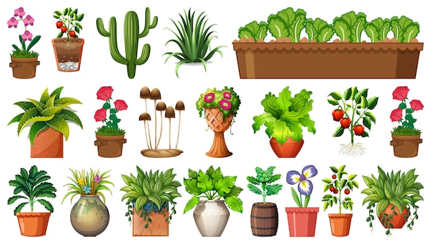 Conjunto de diferentes plantas em vasos isolados no branco