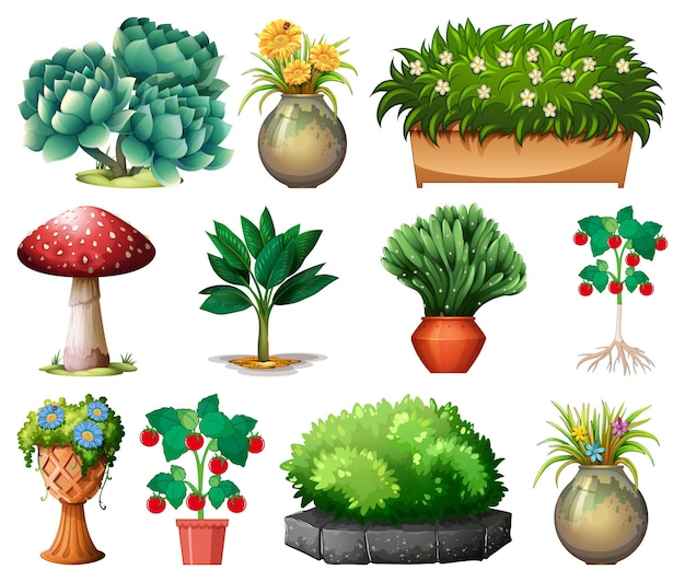Conjunto de diferentes plantas em vasos isolados no branco
