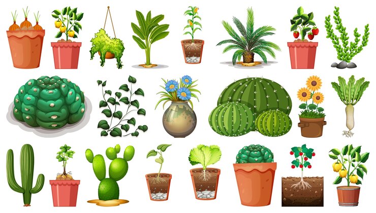 Vetor grátis conjunto de diferentes plantas em vasos isolados no fundo branco