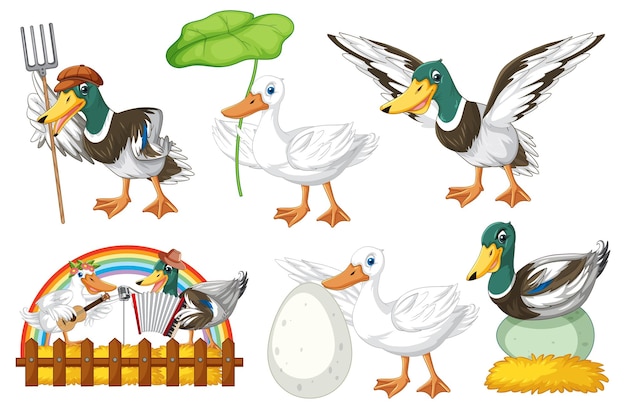 Conjunto de diferentes poses de personagens de desenhos animados de patos