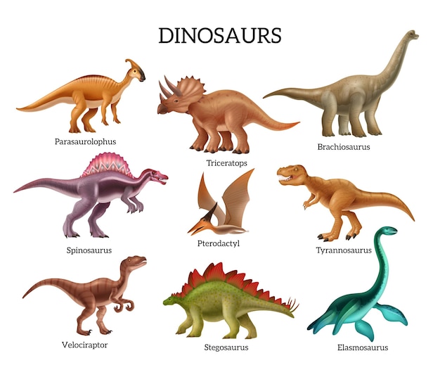 Conjunto de dinossauros com triceratops realista pterodáctilo espinossauro estegossauro branchiosaurus e outras espécies isoladas ilustração vetorial