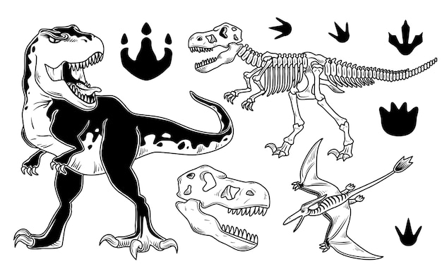 Vetor grátis conjunto de dinossauros