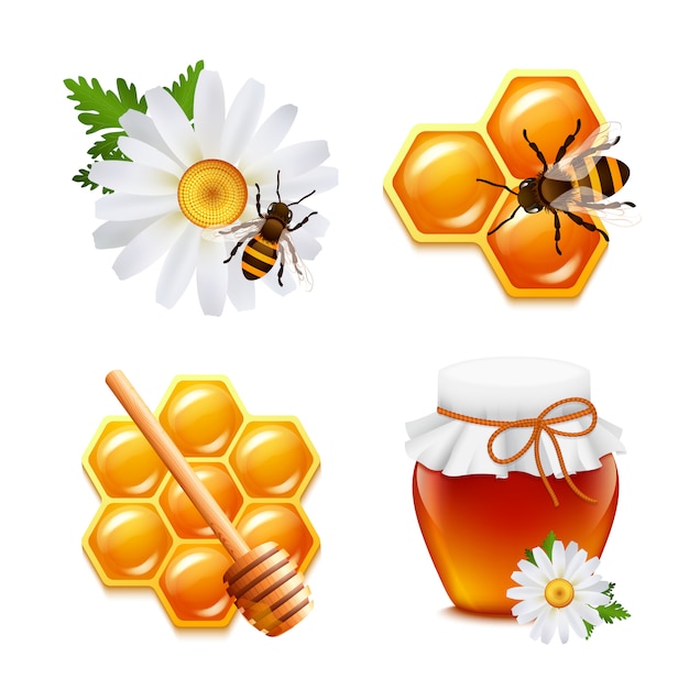 Conjunto de elementos de comida de mel com favo de mel de abelha daisy ilustração vetorial isolado