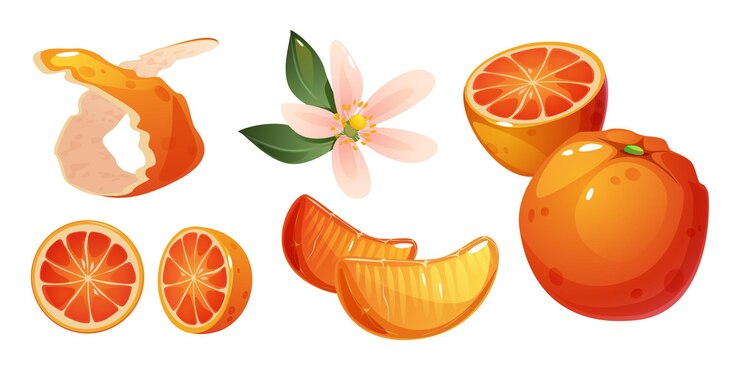 Vetor grátis conjunto de elementos de frutas de laranja