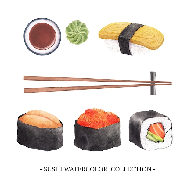 Conjunto de elementos isolados de sushi em aquarela