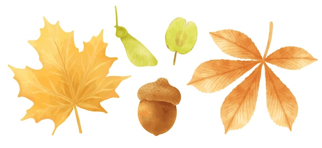 Conjunto de estilos de aquarela de ilustrações de folhas de outono