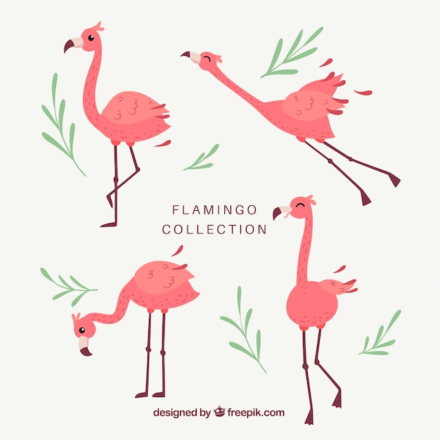 Conjunto de flamingos cor de rosa com diferentes posturas